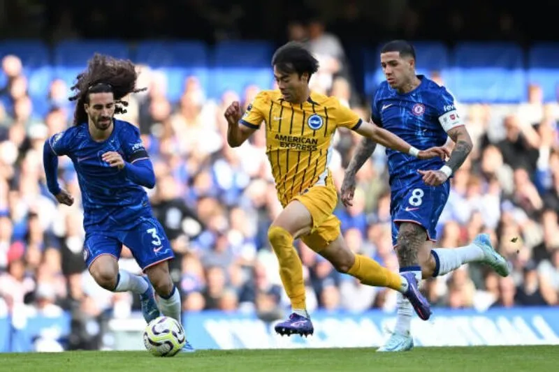 Tỷ lệ kèo nhà cái Brighton & Hove Albion - Chelsea 03:00 - 09/02/2025 2 Dự đoán tỷ số Brighton & Hove Albion vs Chelsea