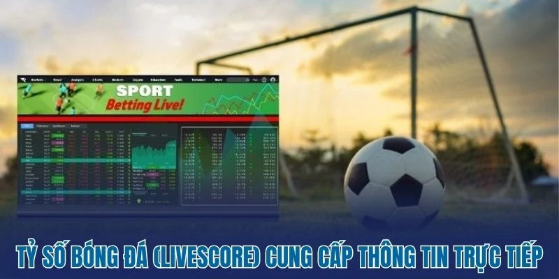 Livescore - Tỷ Số Bóng Đá Trực Tiếp 59 Tỷ số bóng đá (livescore) cung cấp thông tin trực tiếp