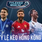 Tỷ lệ kèo HK phù hợp với người mới bắt đầu