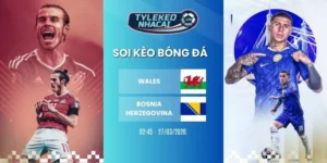 Kèo nhà cái Wales vs Bosnia-Herzegovina hôm nay ngày 27/03/2026 - VLWC