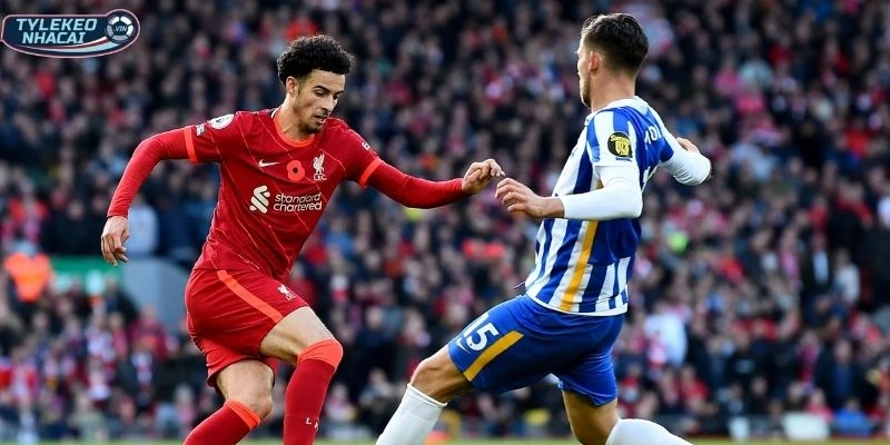 Soi Kèo Nhà Cái Brighton Vs Liverpool Hôm Nay Ngày 21/03/2026 - NHA 1 Phong độ Brighton vs Liverpool