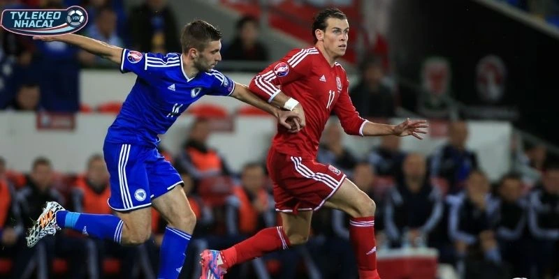 Kèo Nhà Cái Wales Vs Bosnia-Herzegovina Hôm Nay Ngày 27/03/2026 - VLWC 1 Phong độ Wales vs Bosnia-Herzegovina